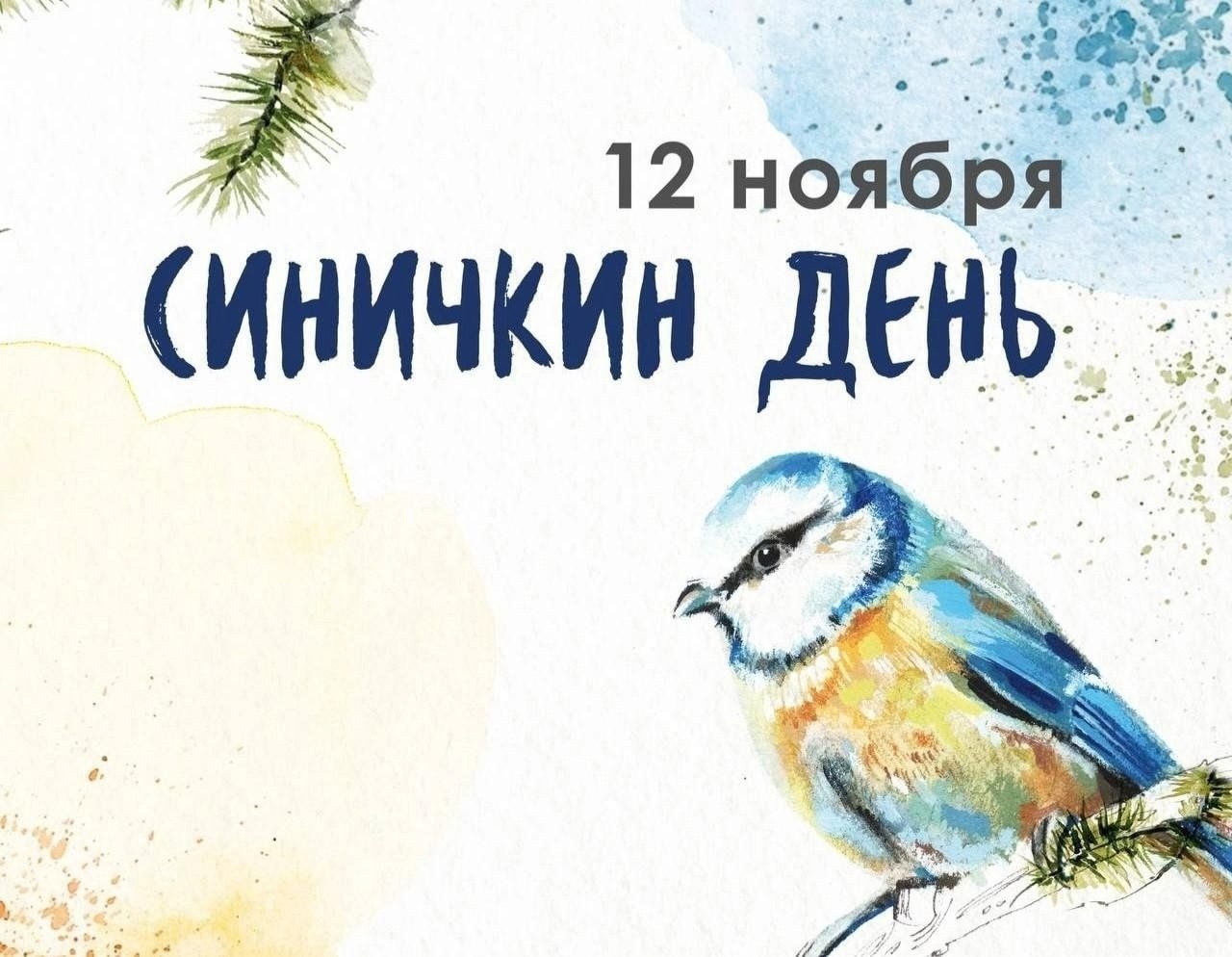 12 ноября – «Синичкин день».